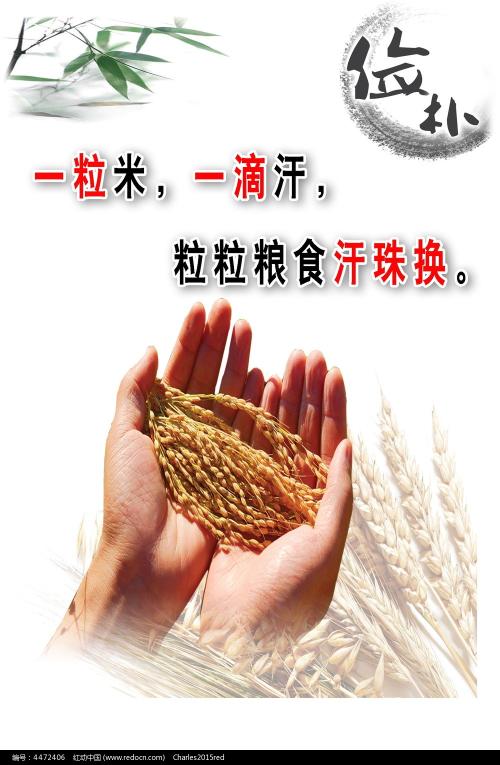 哪里能做会计师全科合格证